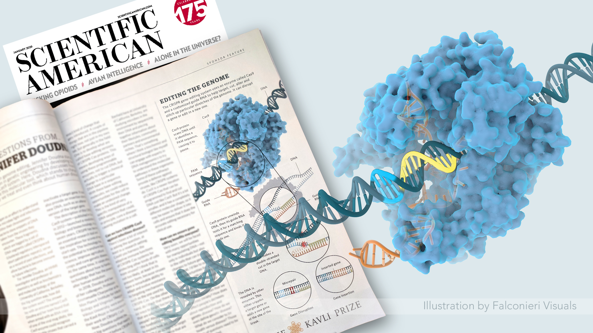 Magazine layout showing illustration of CRISPR-Cas9